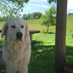 In With Pool & * Apecchio