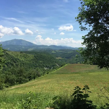 Hébergement de vacances Farmhouse In Apecchio With Pool & Spa *